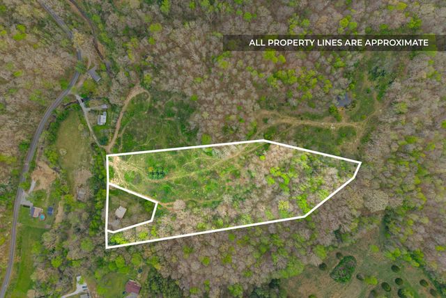 3 Bud Parker Lane, Erin, TN 37061