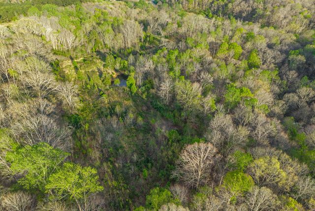 3 Bud Parker Lane, Erin, TN 37061