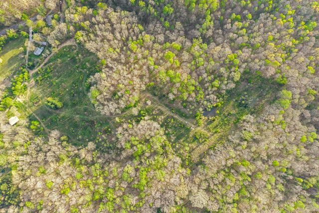 3 Bud Parker Lane, Erin, TN 37061