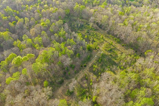 3 Bud Parker Lane, Erin, TN 37061
