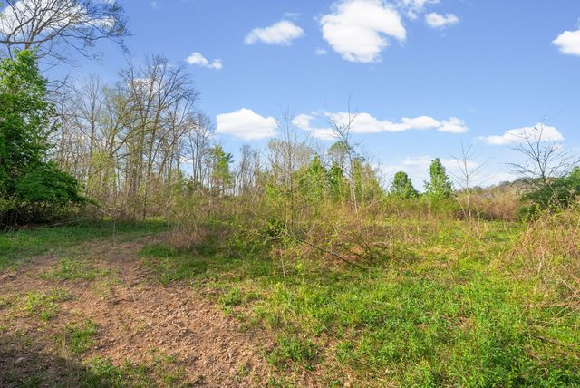 3 Bud Parker Lane, Erin, TN 37061