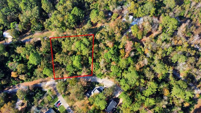 Lot 37 Loper Lake Drive, Livingston, TX 77351