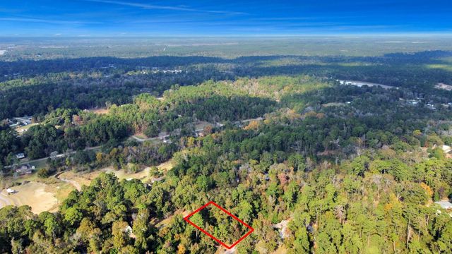 Lot 37 Loper Lake Drive, Livingston, TX 77351