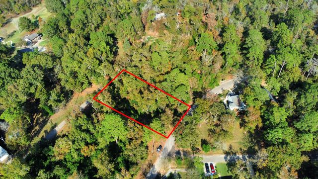 Lot 37 Loper Lake Drive, Livingston, TX 77351