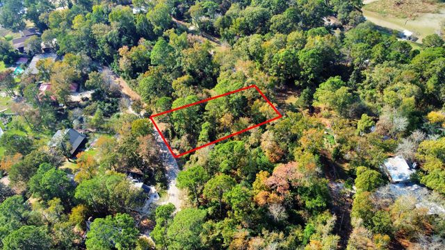 Lot 37 Loper Lake Drive, Livingston, TX 77351