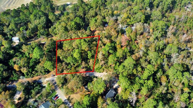 Lot 37 Loper Lake Drive, Livingston, TX 77351