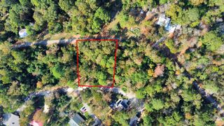 Lot 37 Loper Lake Drive, Livingston, TX 77351