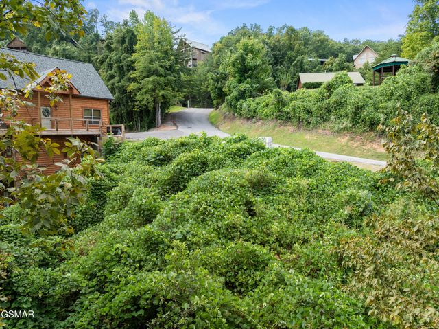 8 Pine Valley Way, Pigeon Forge, TN 37862