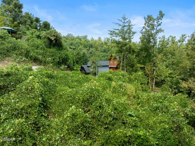 8 Pine Valley Way, Pigeon Forge, TN 37862