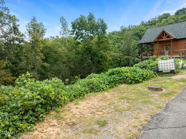 8 Pine Valley Way, Pigeon Forge, TN 37862