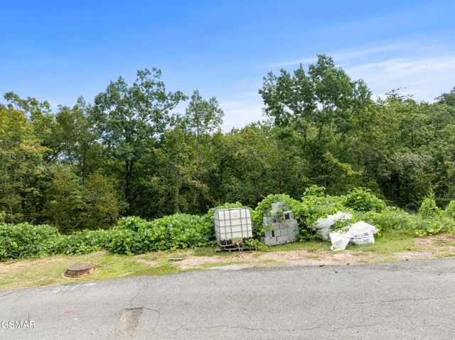 8 Pine Valley Way, Pigeon Forge, TN 37862