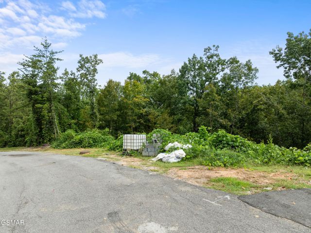 8 Pine Valley Way, Pigeon Forge, TN 37862