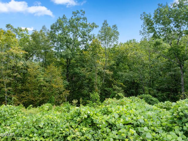 8 Pine Valley Way, Pigeon Forge, TN 37862