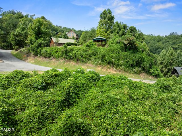 8 Pine Valley Way, Pigeon Forge, TN 37862
