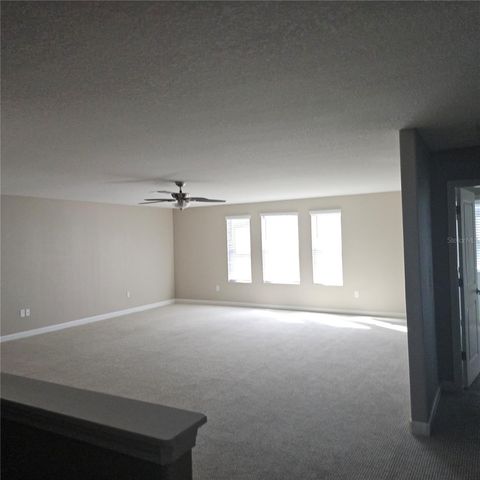 10606 BAHAMA WOODSTAR COURT, Riverview, FL 33579