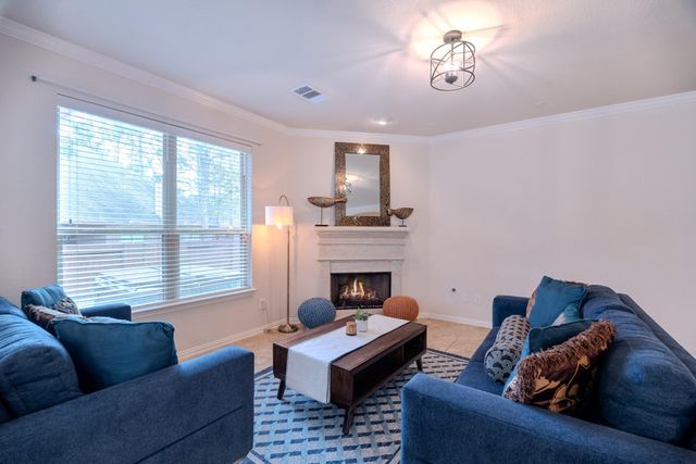 14 Arrowfeather Place, The Woodlands, TX 77389