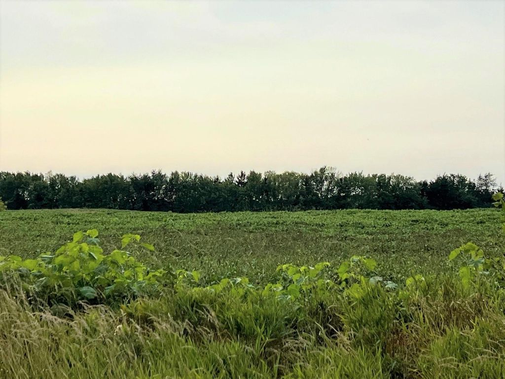 XXXXX Jeffrey Ave N - Parcel B, Hugo, MN 55038 — photo 2