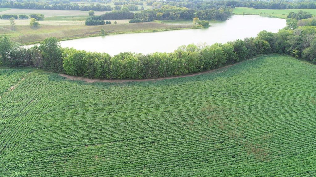 XXXXX Jeffrey Ave N - Parcel B, Hugo, MN 55038 — photo 4