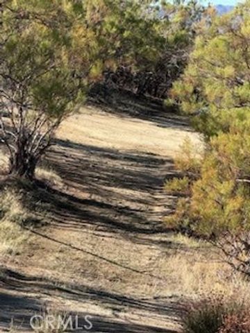 0 Reynolds, Anza, CA 92539