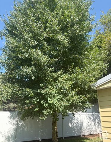 150 W 200 ST, Duchesne, UT 84021