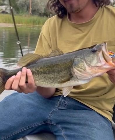 225 Sunset Hills, Grand Junction, CO 81503