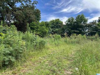 204 STAPP AVENUE SW, Bessemer, AL 35022