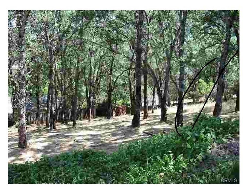 7891 Soda Bay Road, Kelseyville, CA 95451