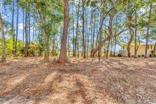 161 Sea Level Loop, Pawleys Island, SC 29585