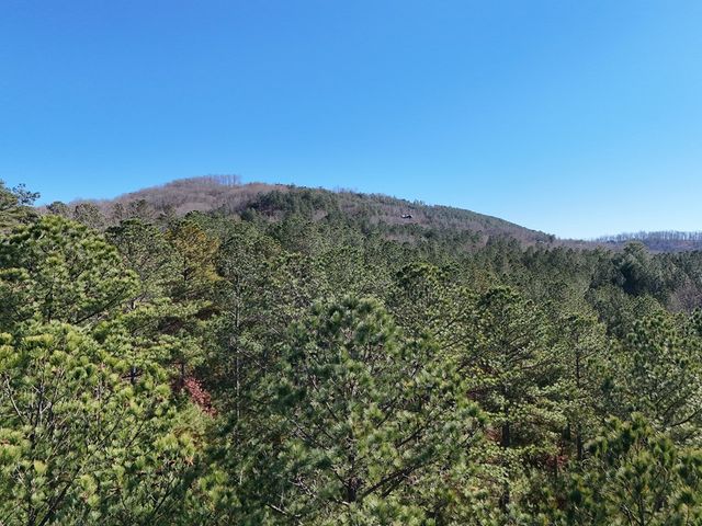 Lot 264 Garden Street, Blairsville, GA 30512