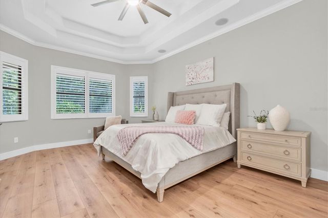 15223 WIND WHISPER DRIVE, Odessa, FL 33556
