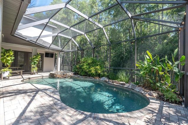 15223 WIND WHISPER DRIVE, Odessa, FL 33556
