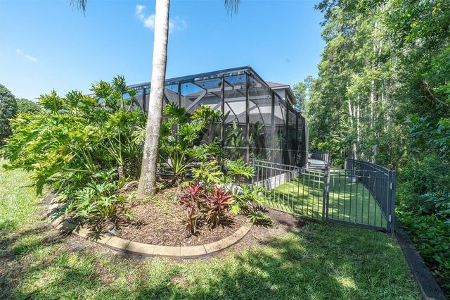 15223 WIND WHISPER DRIVE, Odessa, FL 33556