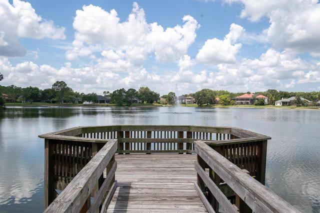 15223 WIND WHISPER DRIVE, Odessa, FL 33556