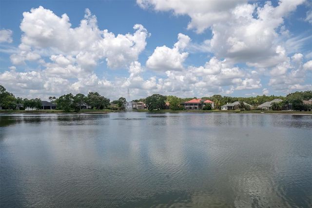 15223 WIND WHISPER DRIVE, Odessa, FL 33556