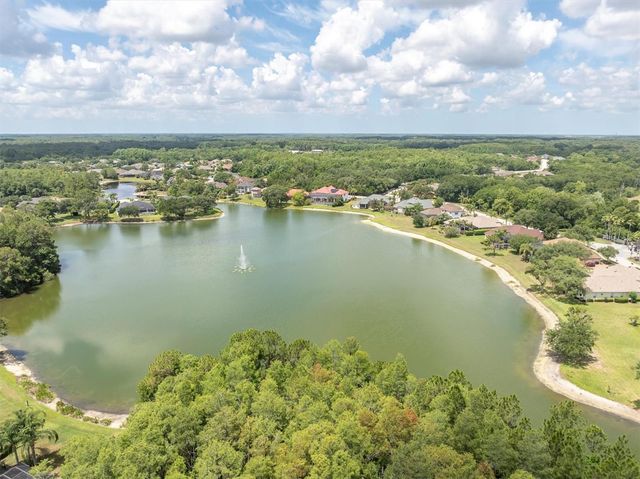 15223 WIND WHISPER DRIVE, Odessa, FL 33556