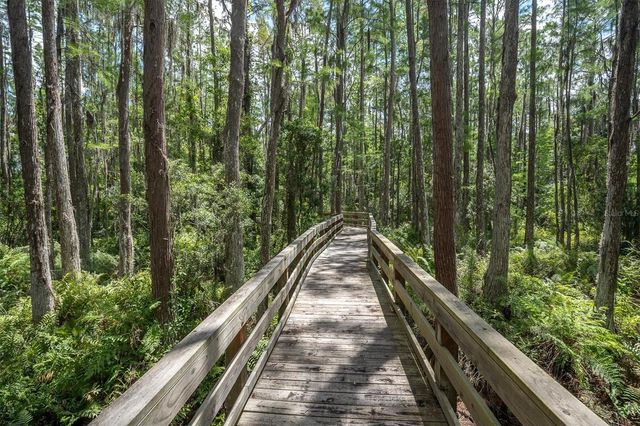 15223 WIND WHISPER DRIVE, Odessa, FL 33556