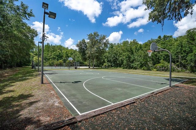 15223 WIND WHISPER DRIVE, Odessa, FL 33556