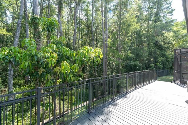 15223 WIND WHISPER DRIVE, Odessa, FL 33556