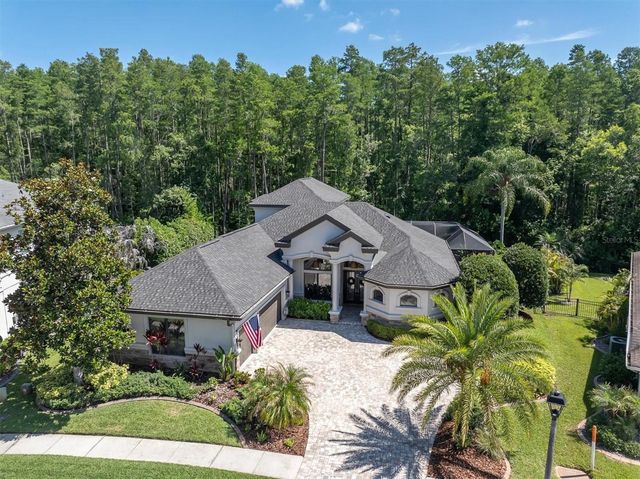 15223 WIND WHISPER DRIVE, Odessa, FL 33556