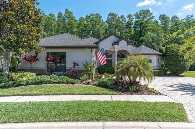 15223 WIND WHISPER DRIVE, Odessa, FL 33556