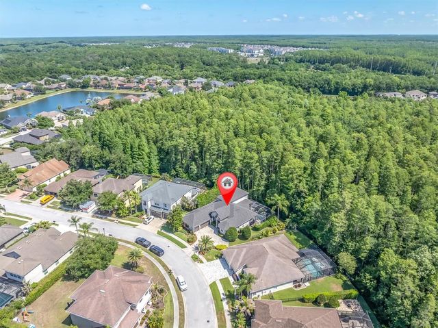 15223 WIND WHISPER DRIVE, Odessa, FL 33556