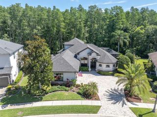 15223 WIND WHISPER DRIVE, Odessa, FL 33556