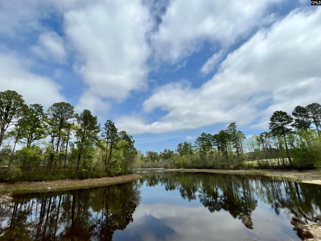 643 Thunder Gulch Avenue, Lexington, SC 29073