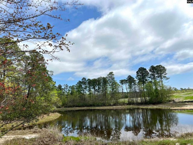 643 Thunder Gulch Avenue, Lexington, SC 29073
