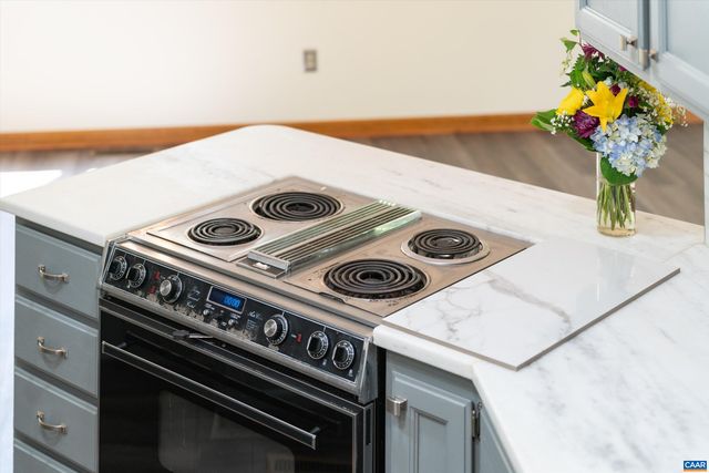 4 NUTWOOD CIR, Palmyra, VA 22963