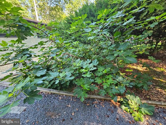 491 REDWOOD LN, Lusby, MD 20657