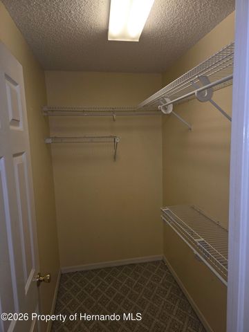 10387 Ventura Drive, Spring Hill, FL 34608