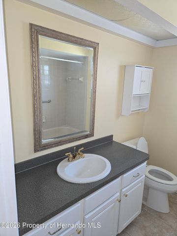10387 Ventura Drive, Spring Hill, FL 34608