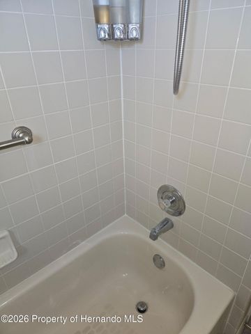 10387 Ventura Drive, Spring Hill, FL 34608
