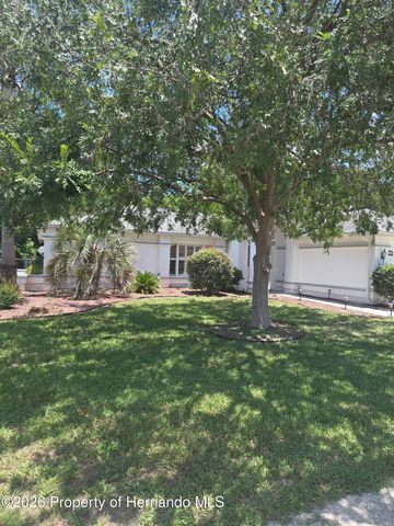 10387 Ventura Drive, Spring Hill, FL 34608